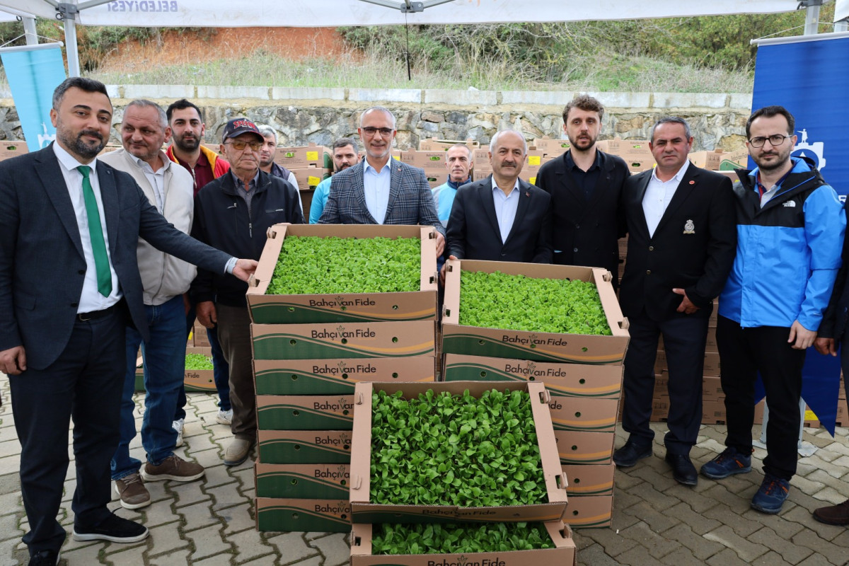 Kocaeli’de çiftçilere sebze fidesi desteği 